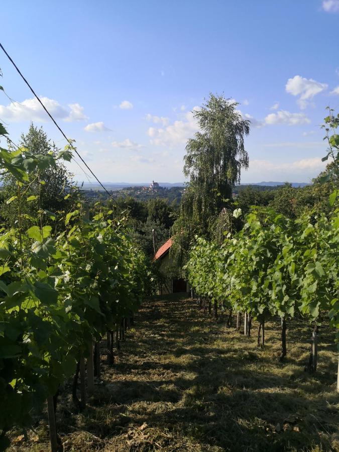Vikendica Sirec Vila Ptujska Gora Exterior foto